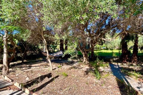 Landejendom i Alaro, Mallorca, Alaro - € 695.000 | Ref: 427919 - foto 14
